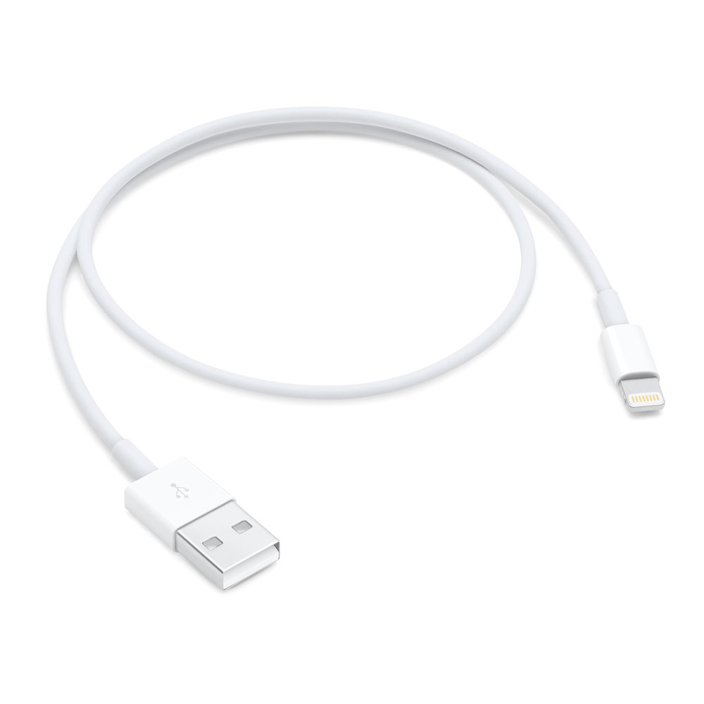 Apple Lightning to USB Cable