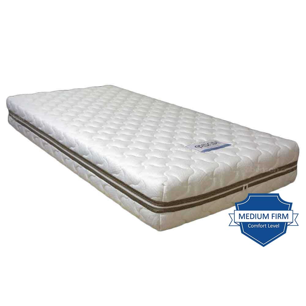 Salem bed queen size hotsell