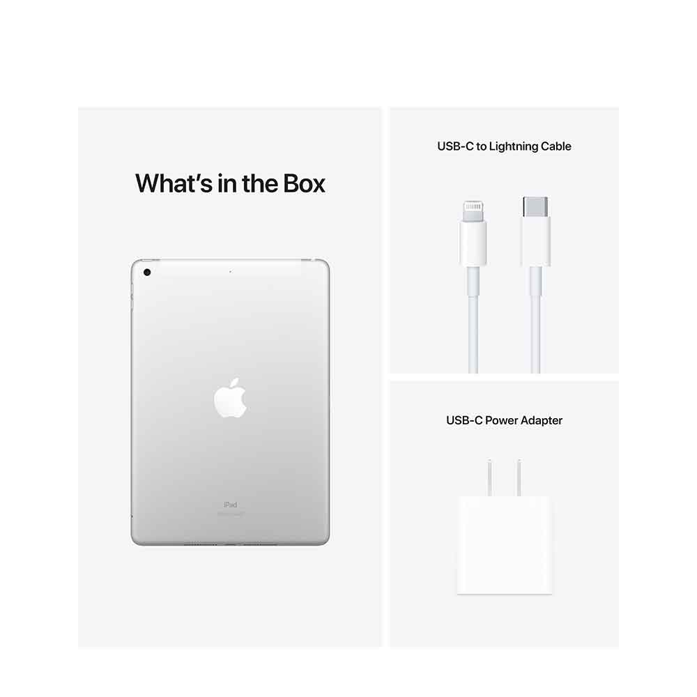 Apple iPad (9th Generation) Wi-Fi + Cellular 256GB Silver Tablet