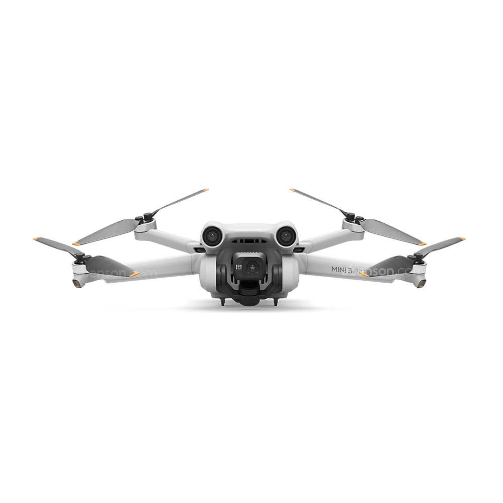 DJI Mavic Mini 3 Pro Gray Drone | Computers and Gadgets | Abenson.com