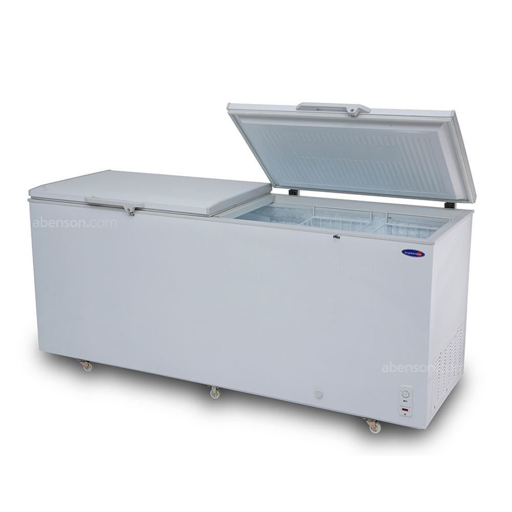 fujinco  Fujidenzo FC-22GDF2 Solid Top Chest Freezer | Home Appliance