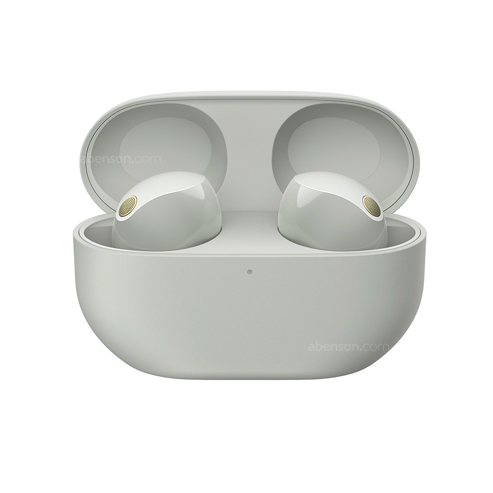 SONY WF-1000XM5 本体のみ WF-1000XM5 | ヘッドホン | ソニー