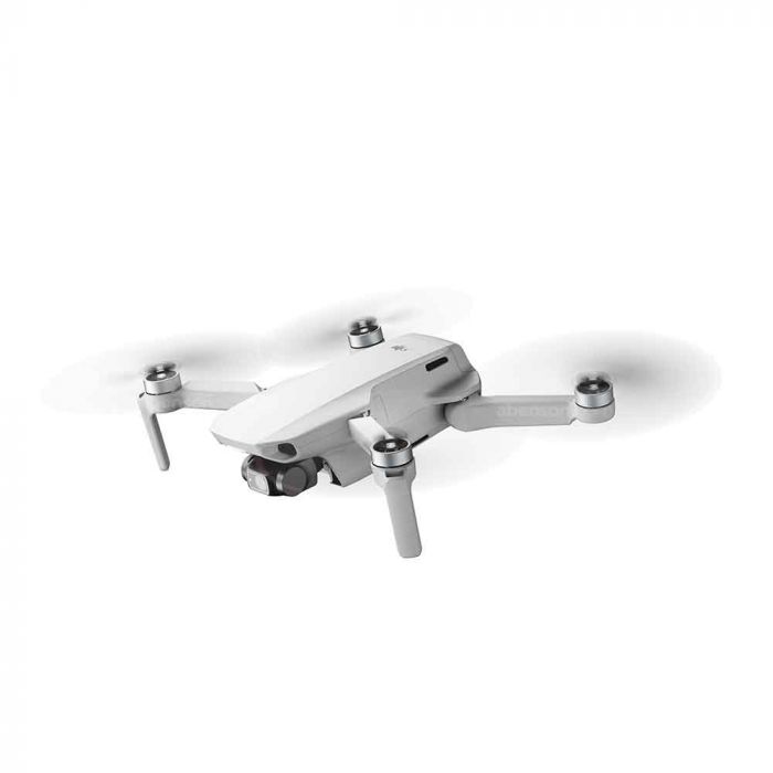DJI Mavic Mini Gray