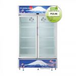 Fujidenzo SUD-220A