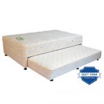 SALEM Nite & Day Twin Pull out Bed
