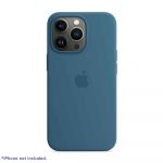 Apple MagSafe Silicone Case - Blue Jay MagSafe Case for iPhone 13 Pro