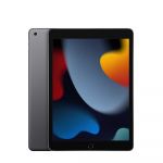 Apple iPad (9th Generation) Wi-Fi 256GB Space Grey Tablet