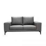 Homeplus Brother Grey 2-Seater Fabric Sofa