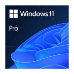 Microsoft Windows 11 Pro ESD Software
