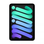 Apple iPad mini (7th Generation) Wi-Fi 256GB Space Gray Tablet